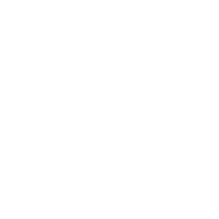 06 Cip